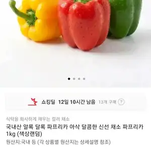 국내산 알록달록 파프리카 1kg (4,920원/무배)