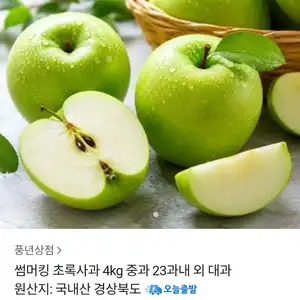 썸머킹 초록사과 4kg 중과 (9,790원 / 무료)