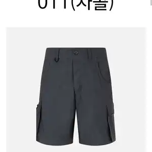 컬럼비아 남성 랜드로머 카고 쇼츠 (21,330원/2장이상무료)