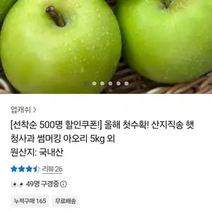 산지직송 햇 썸머킹 아오리 청사과 소과 5kg (9,960원/무료)
