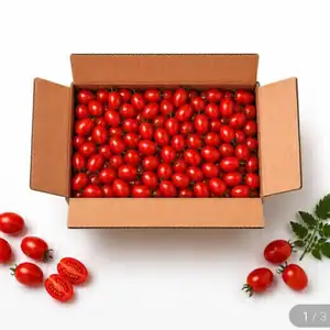 대추방울토마토 큰로얄과(1-2번)2kg(7,900원/무료)