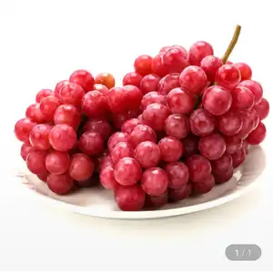 루비스위트 포도 2kg내외(2-5수) (17,350원/무료)