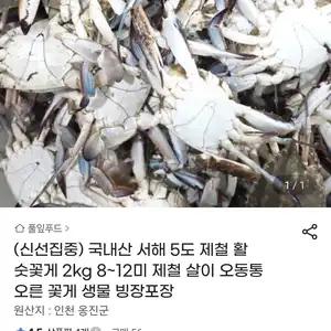 (신선집중)국내산 서해 5도 제철 활 숫꽃게 2kg 8~12미(21,560원/무배)