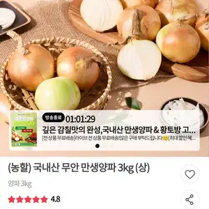 국내산 무안 만생양파 3kg (상)