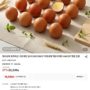[롯데온] 무항생제 해썹 원적외선 구운란 대란 30구 X2  60구