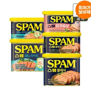스팸 클래식 340g 10개