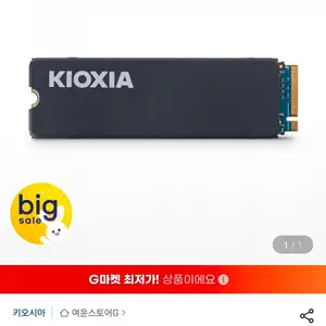 키오시아 EXCERIA 히트싱크 M.2 NVMe (2TB)