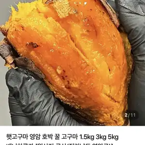 [네이버] 영암 호박/밤고구마 특상 1.5kg