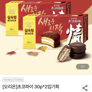 농협몰 오리온 초코파이 60개 11980원무료