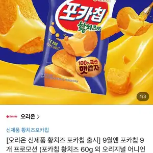 신제품 포카칩 황치즈 60g 9봉