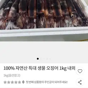 우체국국내산 생물오징어 1kg45미 10430원무배
