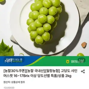 샤인머스켓 2kg 4수 특품