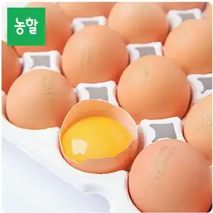 [롯데온] 무항생제 HACCP인증 자연방사 난각번호 1번 유정란 20구