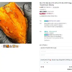 영암 햇 호박고구마 중상/특상 1.5kg