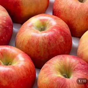 [네이버] 경북 햇 홍로사과 정품 2kg