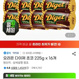삼) 오리온 다이제 초코 225g x 16개