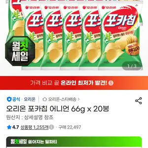 삼) 오리온 포카칩 어니언 66g x 20봉