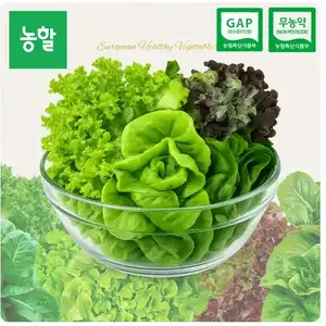 [롯데온] 당일수확 무농약 샐러드용 쌈채소 3~5종 믹스 1kg_스마트팜 재배