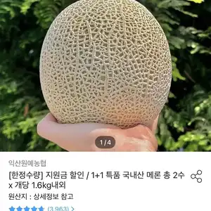 농협 국내산 고당도 머스크메론 특품 1.6kg 2수