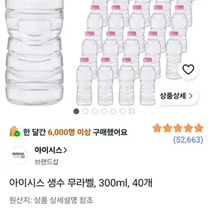 아이시스 생수 무라벨, 300ml, 40개