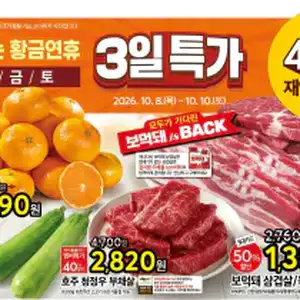 [기타] 홈플러스 10/8~10/10 3일특가 전단지 (당당치킨 4,990원 등)