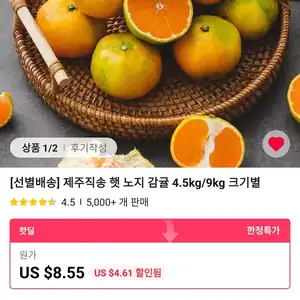 [선별배송] 제주직송 햇 노지 감귤 4.5kg 로얄과