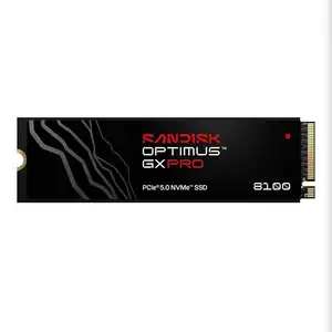 샌디스크 optimus gx pro 8100, 2TB