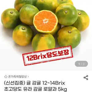 [지마켓] 초고당도 유라감귤 5kg 로얄과 (11,910원/무료)