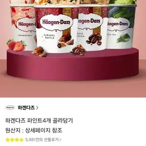 하겐다즈 파인트 4통
