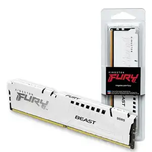 [기타] FURY DDR5 PC5-44800 CL36 Beast 화이트 코잇