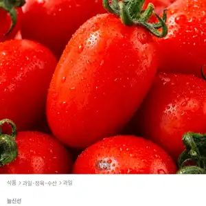 대추방울토마토 2kg 로얄과