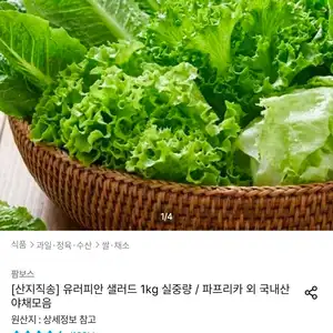 국내산 파프리카 3kg