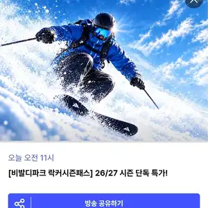 [기타] 비발디파크 26/27 스마트 시즌패스+V300 락커