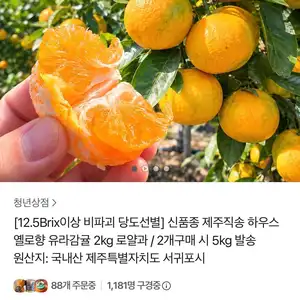 12.5Brix이상 제주직송 유라감귤 2.5kg