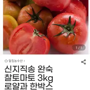 [지마켓] 신지직송 완숙  찰토마토 3kg 로얄과 한박스