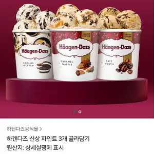 하겐다즈 신상 파인트3개