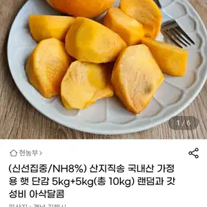 단감 10kg 랜덤과