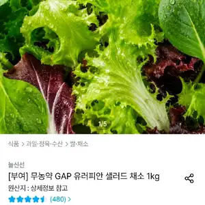 유러피안 채소 1kg(3-6종)