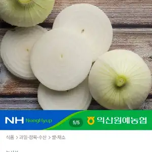 햇양파 특품 5kg 실중량