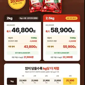 참빛농산 26년 국내산 100% 프리미엄 진짜 햇 고춧가루 1kg