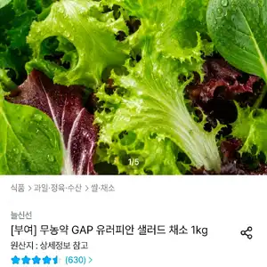 유러피안 채소 1kg(3-6종)