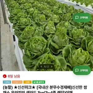 온누리) 신선한 쌈 채소 유러피안 샐러드 1kg(3~4종 랜덤)